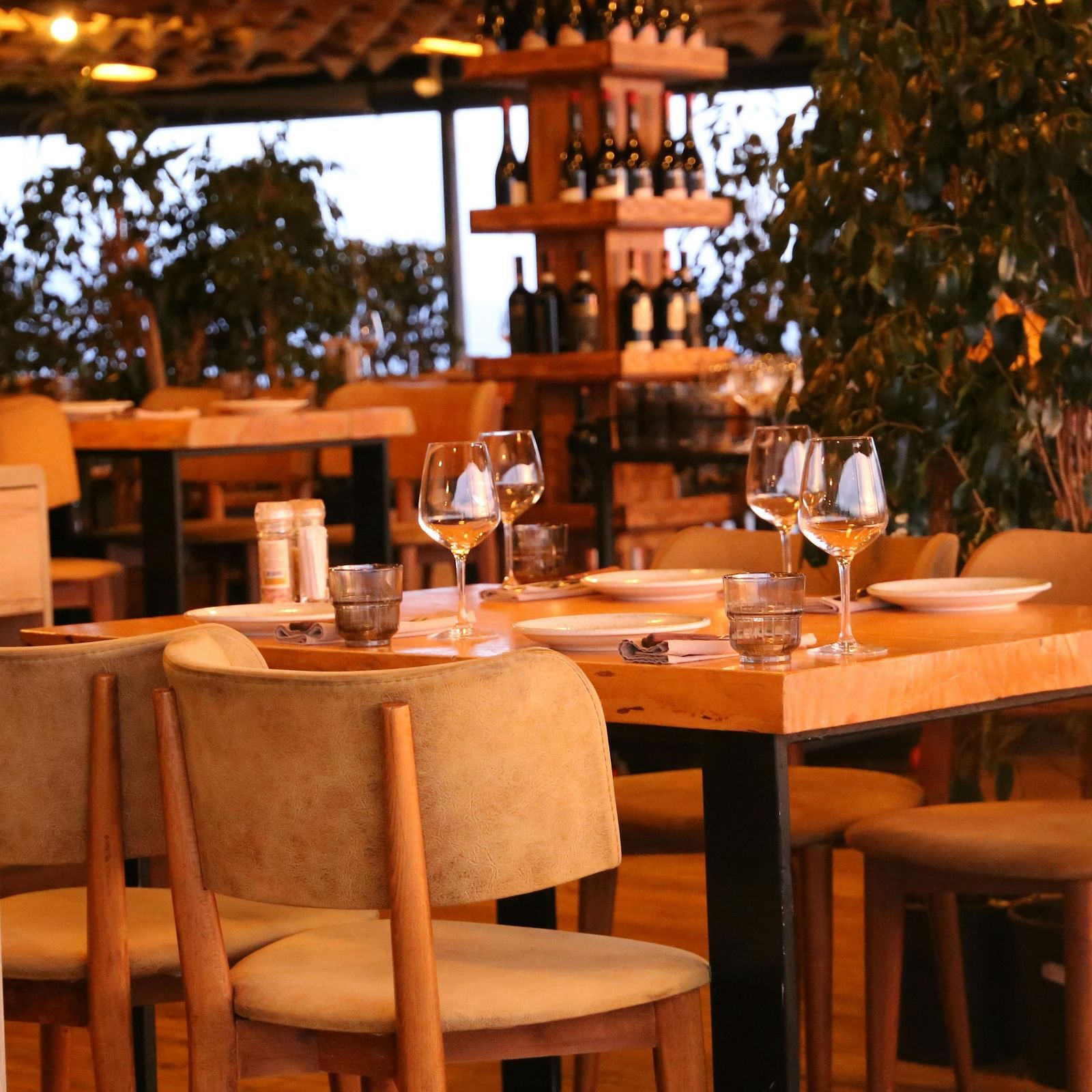 A warmly lit restaurant interior features set tables with wine glasses and chairs, with wine racks and greenery in the background.
