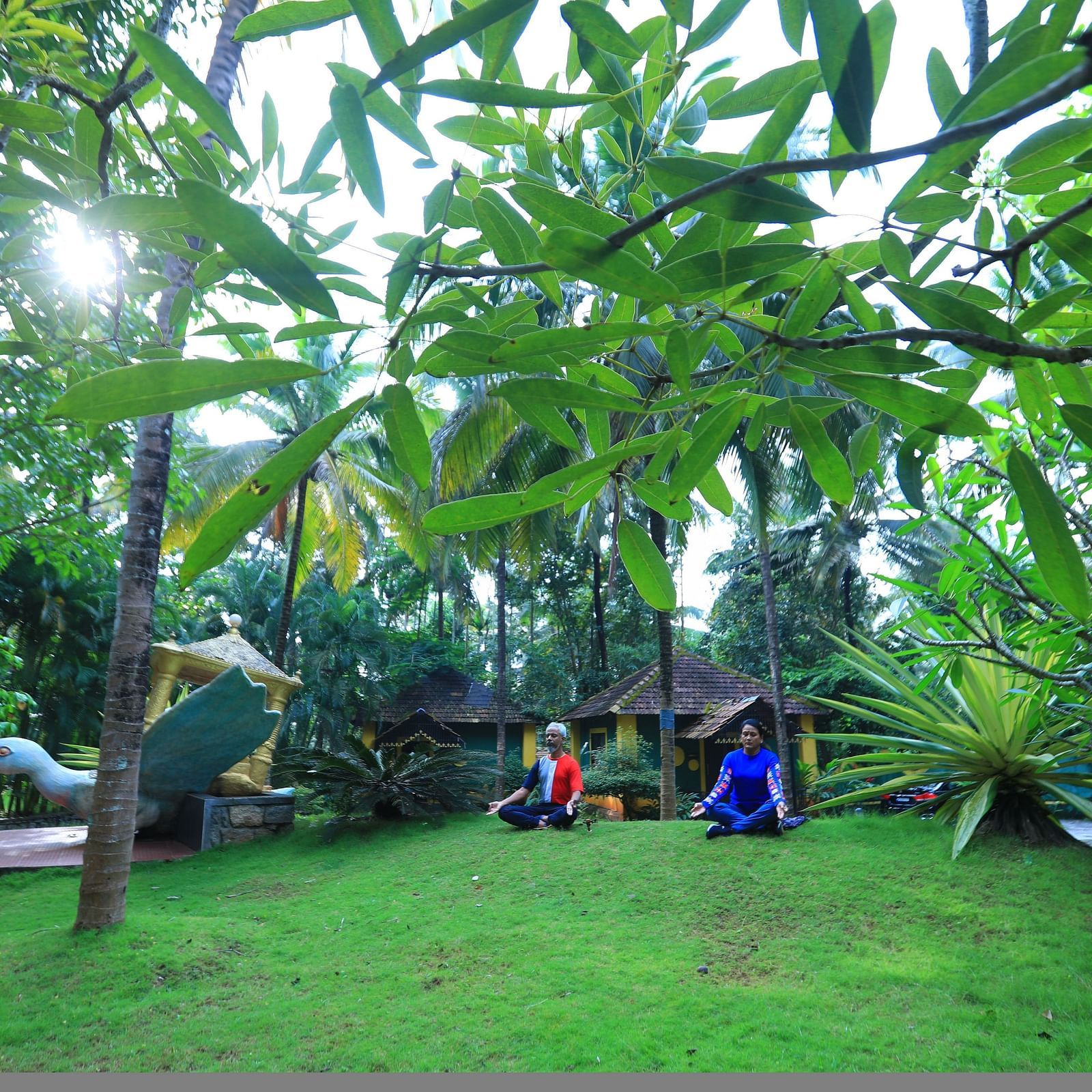 Wide angle shot of two people holding a yoga pose amidst greenery at Parampara Resort & Spa, Kushalnagar.