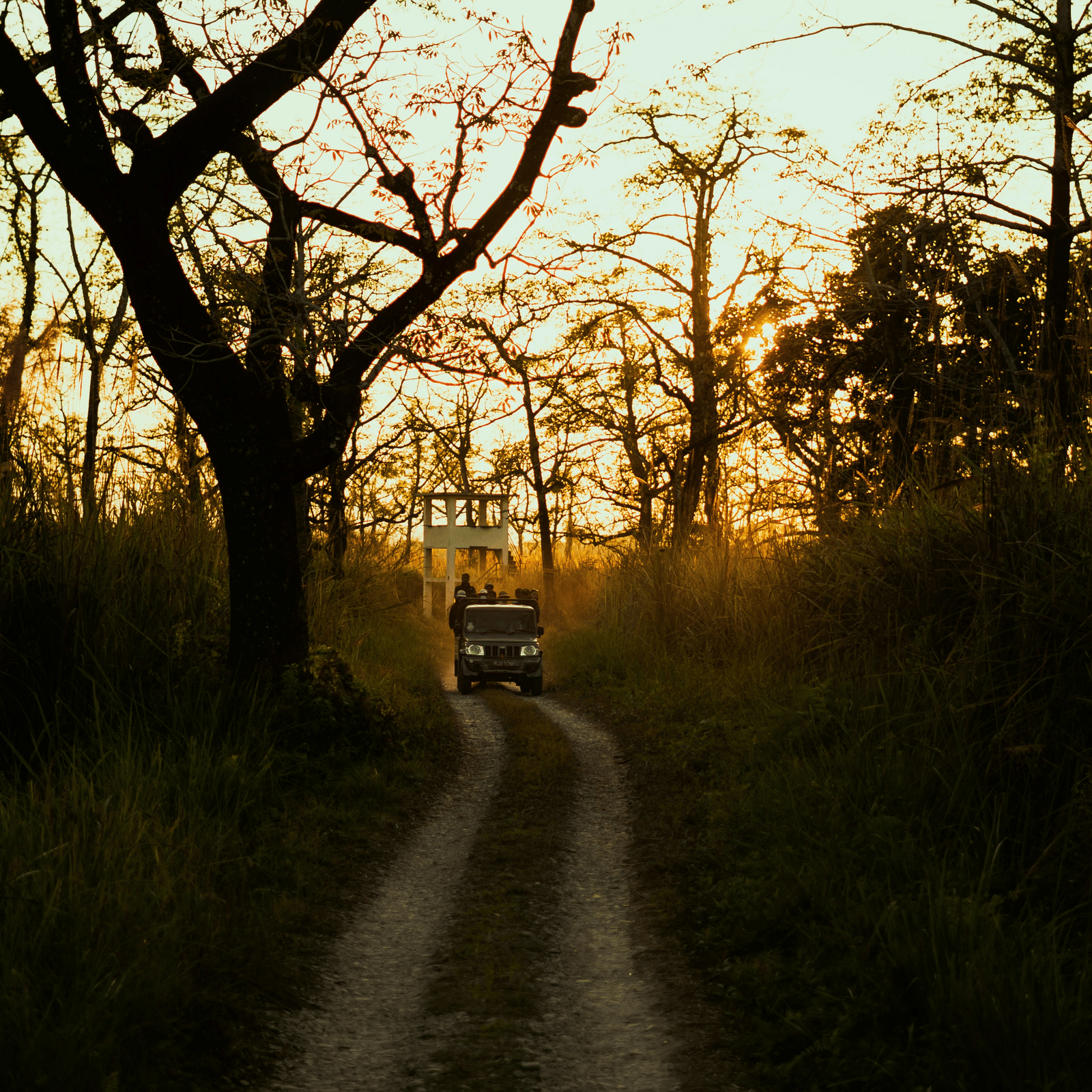kartabya-aryal-dHw-xRahyLY-unsplash