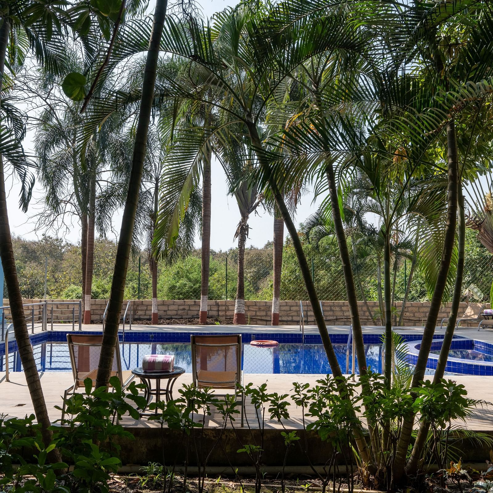 Full view of the swimming pool with trees in the foreground.