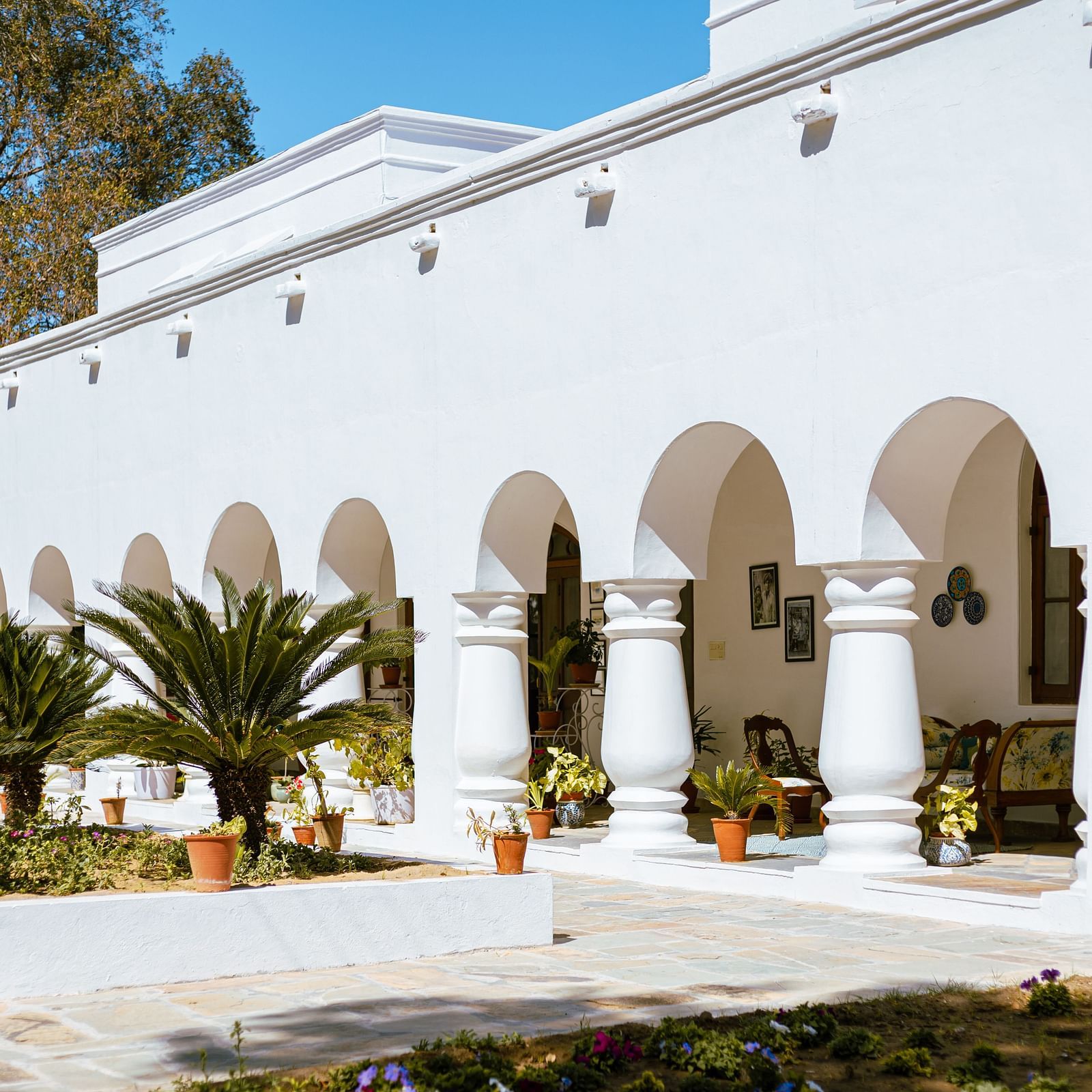 A white building with a series of arched openings and columns lines a patio with potted plants and trees- Shahpura Bagh.