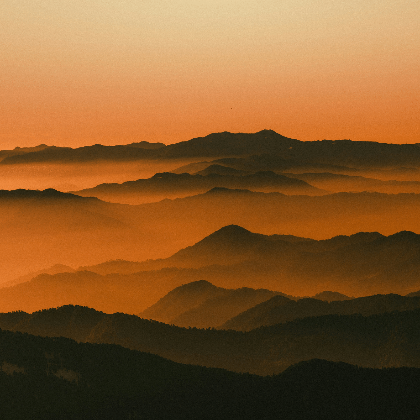 Hill tops one after another being submerged in the clouds with an orange hue in the sky