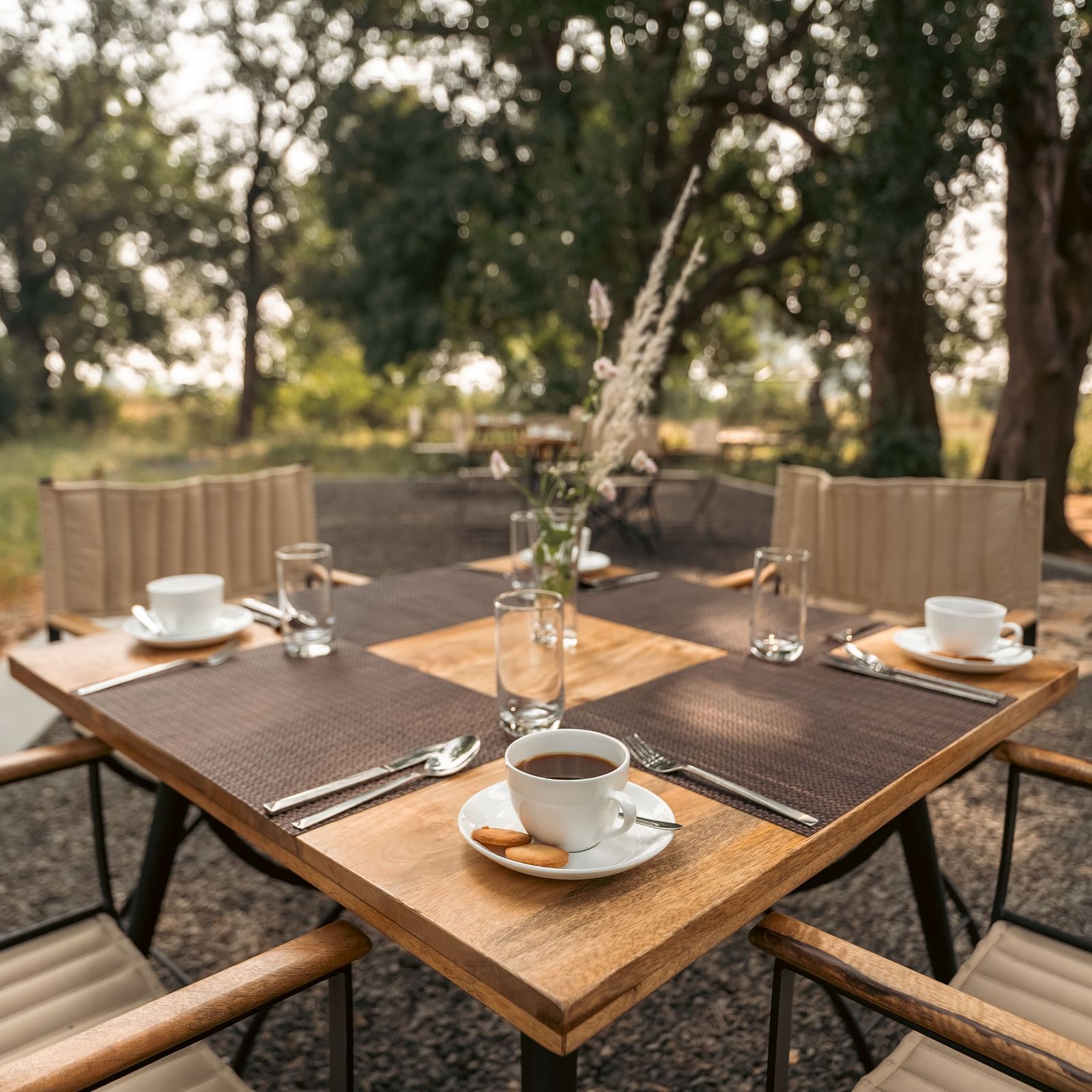 Image of a coffee setup between the jungle at Trees N Tigers, Tadoba.