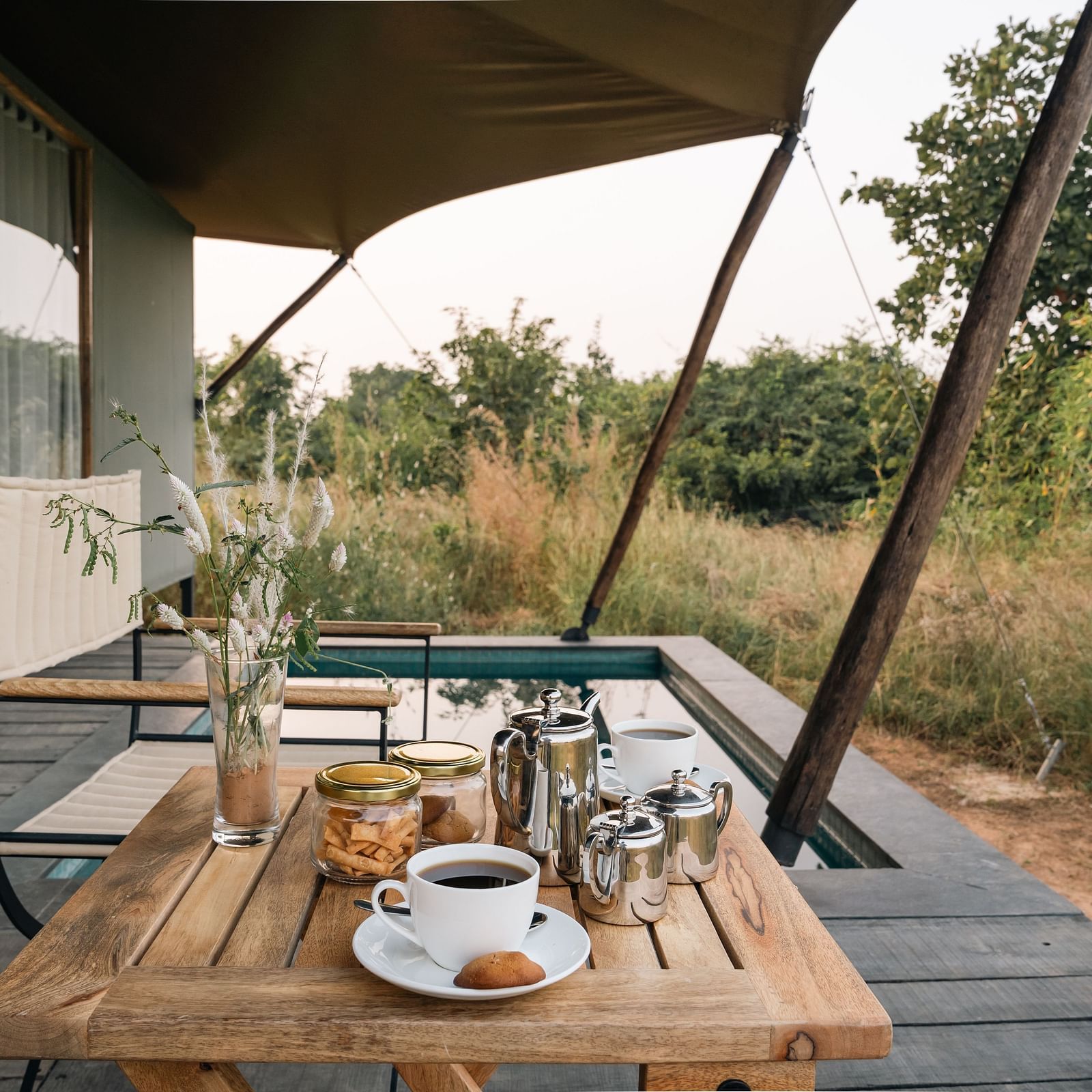 Coffee setup outside tents at Trees N Tigers, Tadoba.