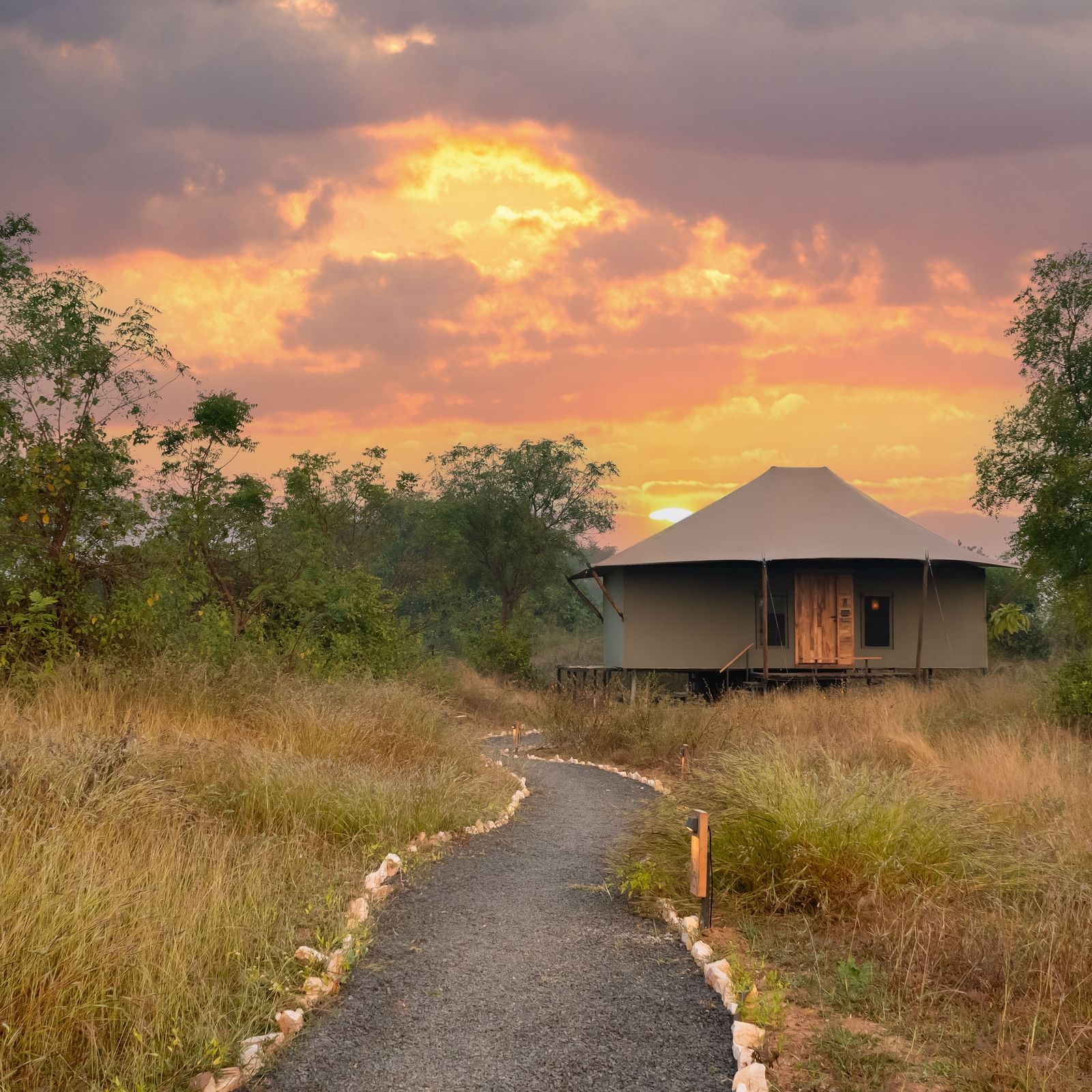 View of a hut amongst greenery at Trees N Tigers, Tadoba.