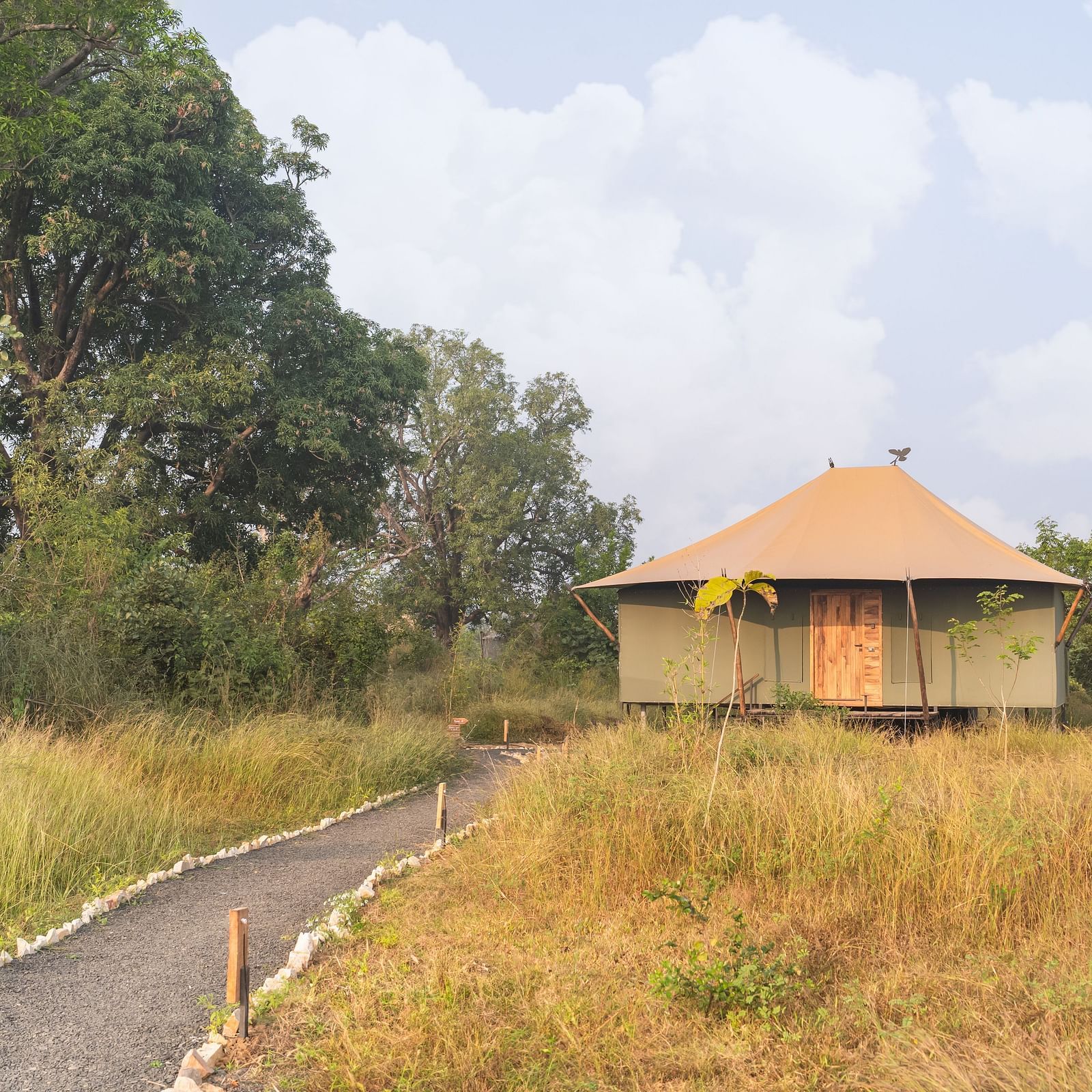 A trail leading to the huts at Trees N Tigers, Tadoba.