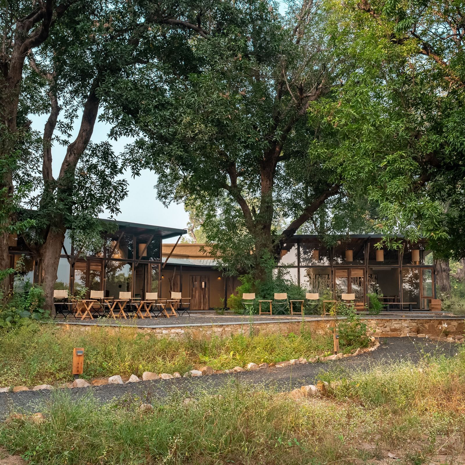 A view of two cottages surrounded by trees at Trees N Tigers, Tadoba.