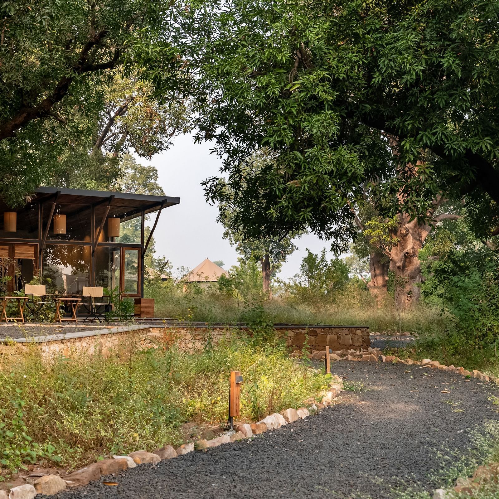 A trail leading to the huts at Trees N Tigers, Tadoba.