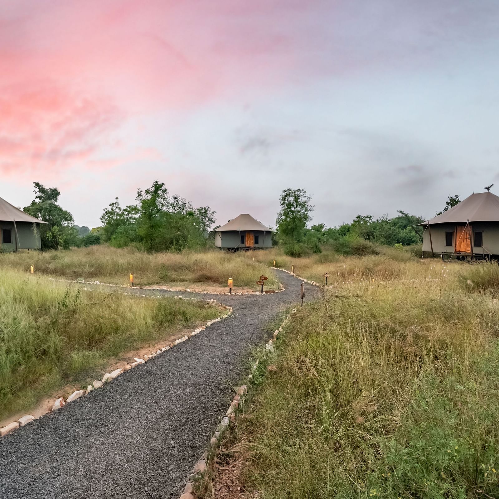 A trail leading to the huts at Trees N Tigers, Tadoba.