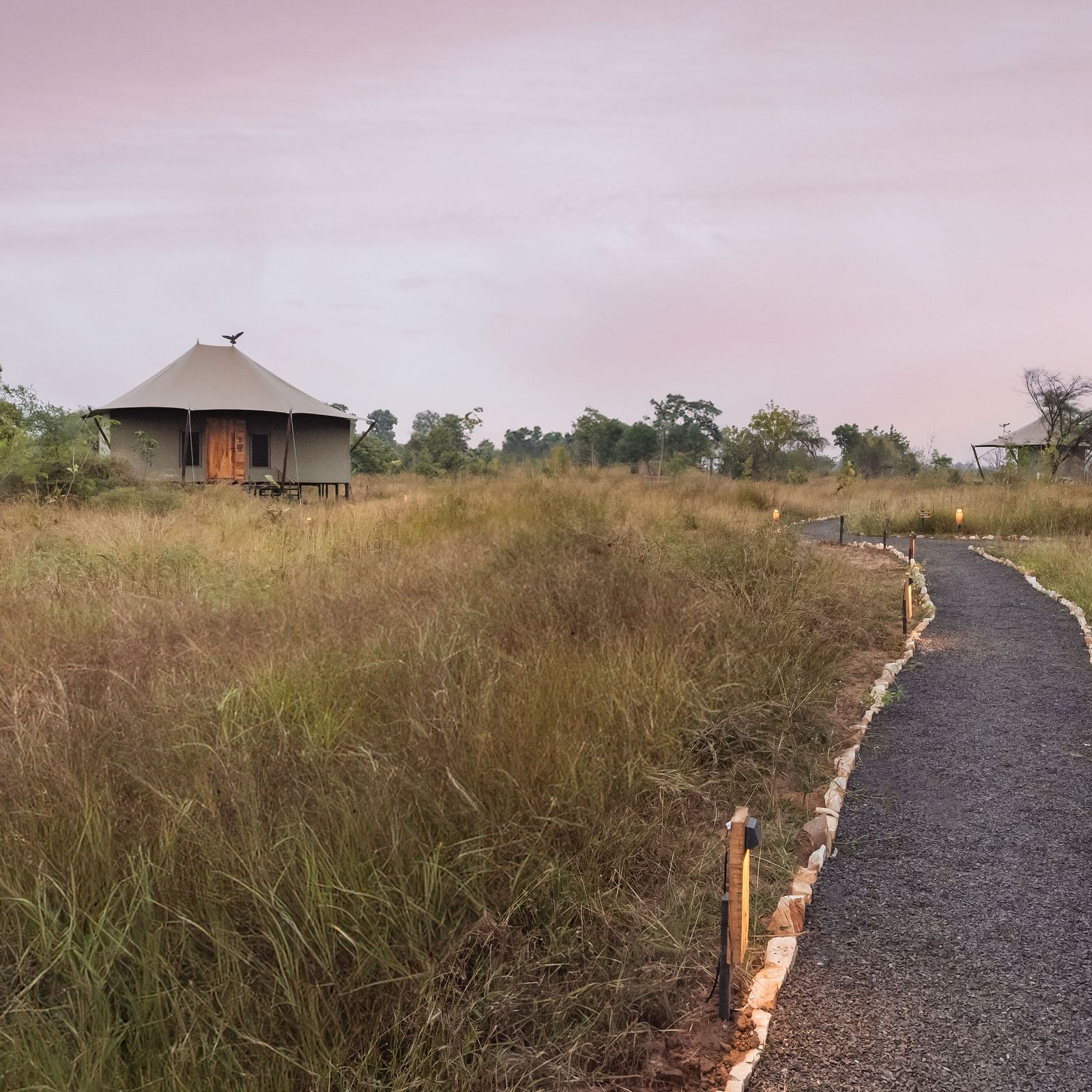 A trail leading to the hut at Trees N Tigers, Tadoba.
