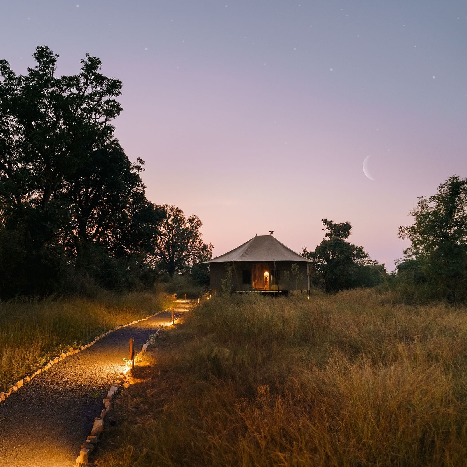 View of a hut amongst greenery in the evening at Trees N Tigers, Tadoba.