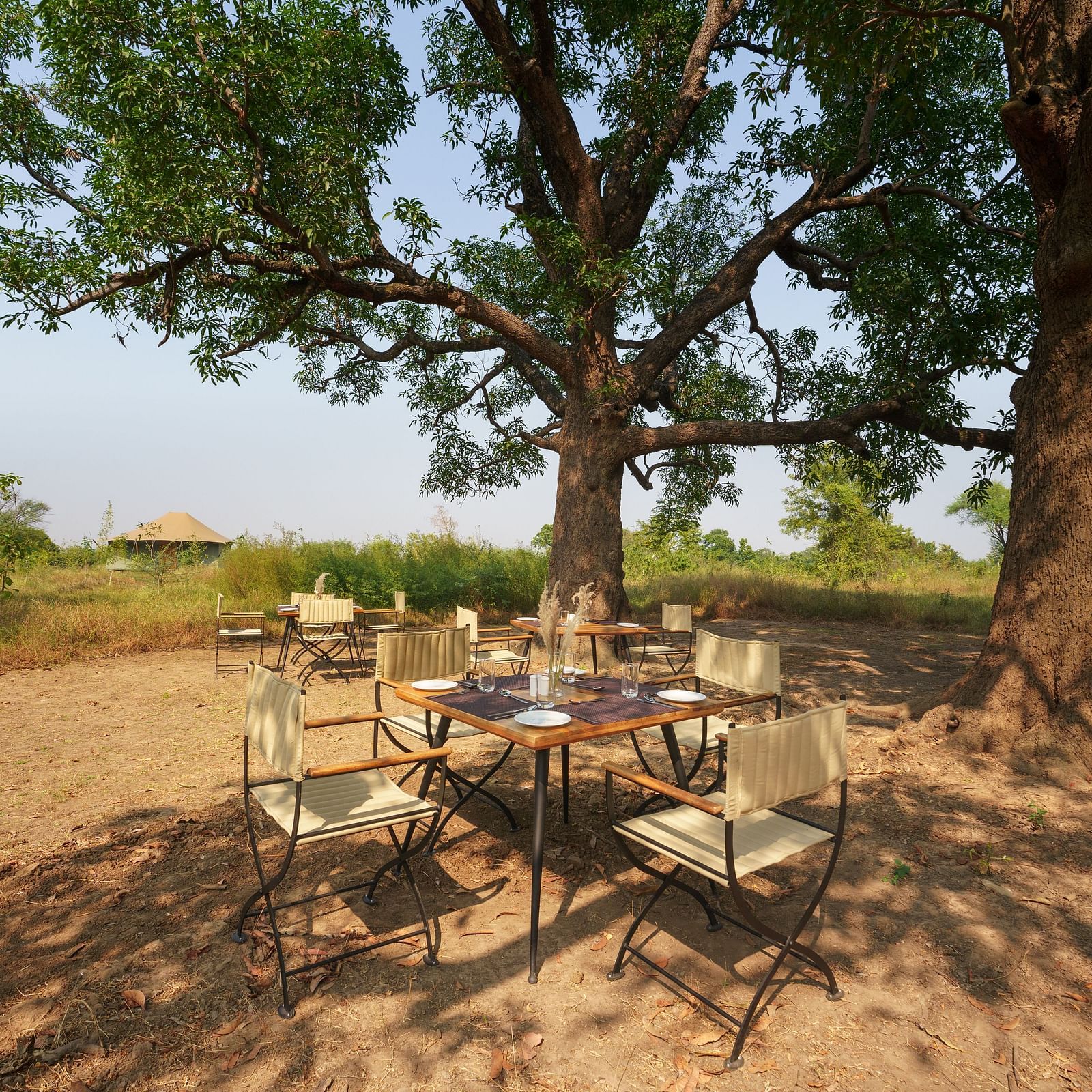 Outdoor dining among the trees at Trees N Tigers, Tadoba.