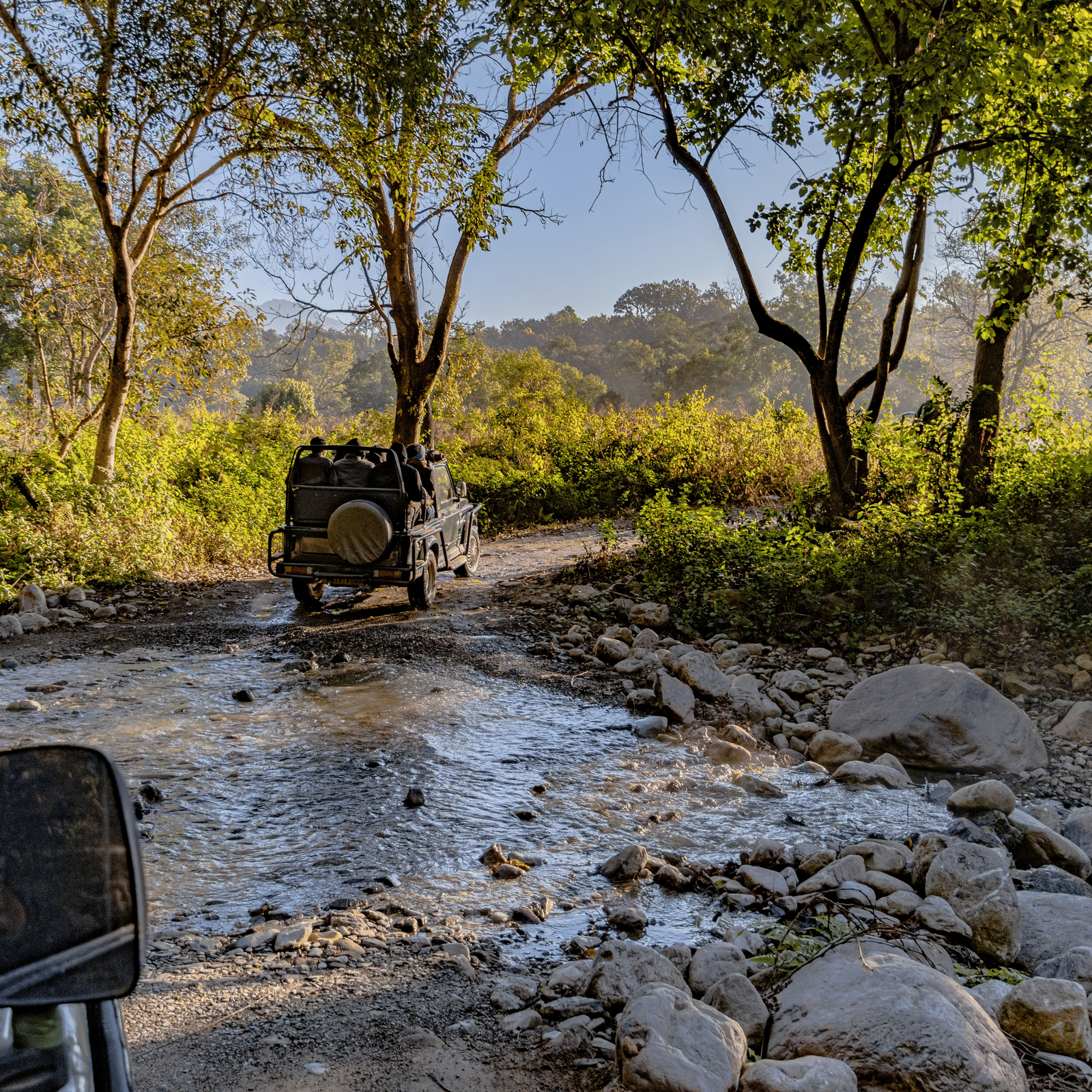 A safari vehicle crosses a rocky stream in a sunlit forest, viewed from another vehicle following behind.