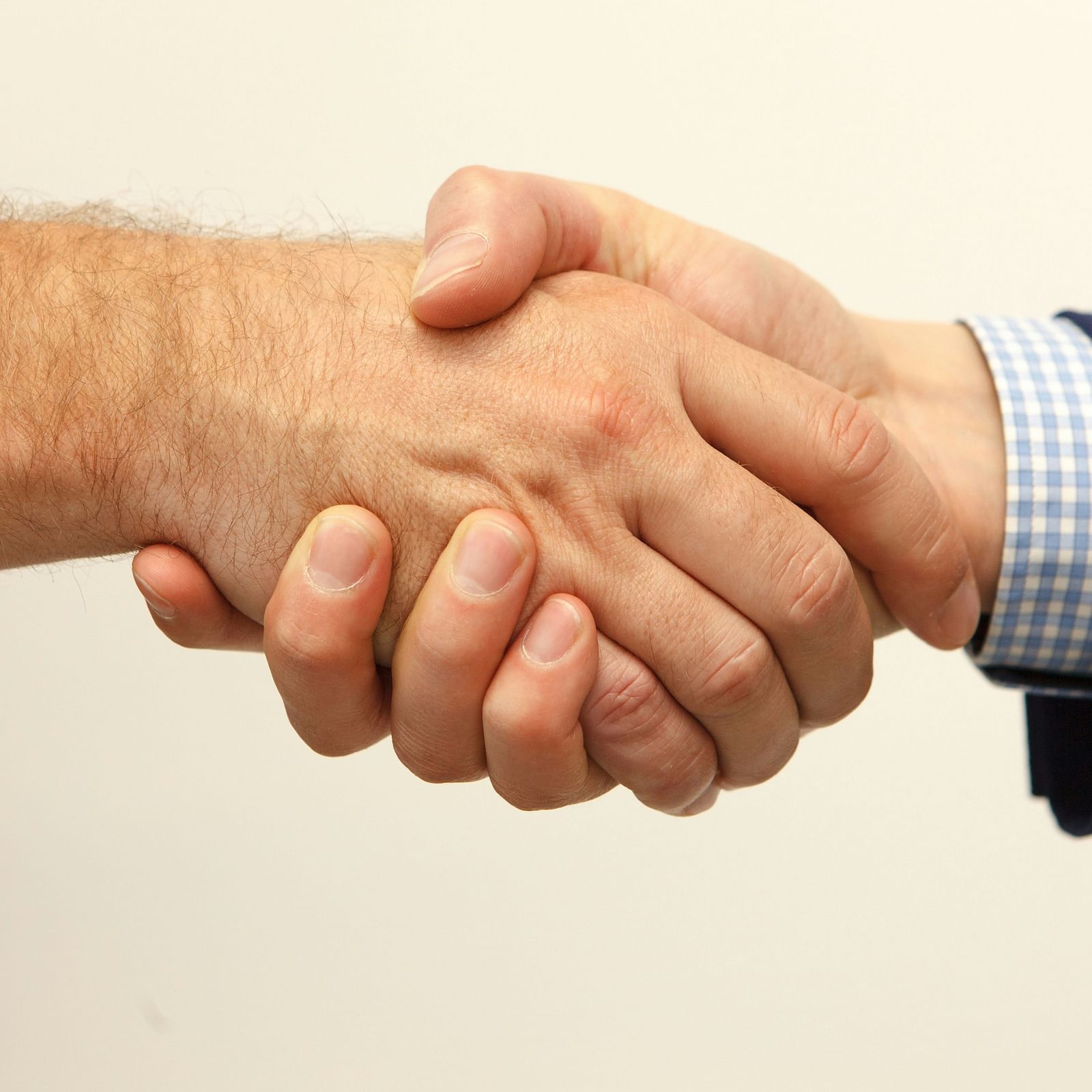 Two men indulging in a handshake