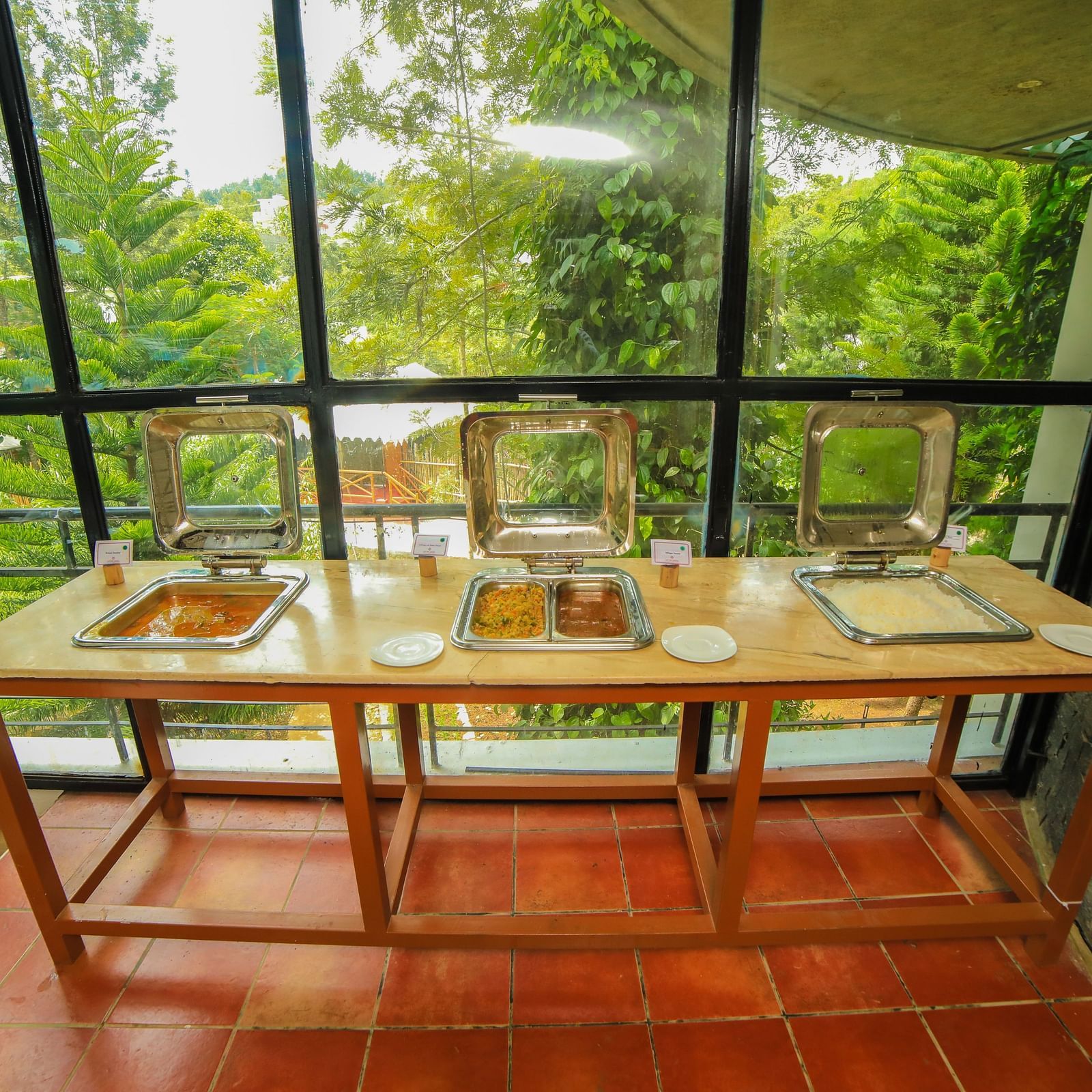Image a buffet table with view of the trees in front at WOW Bison Woods. 