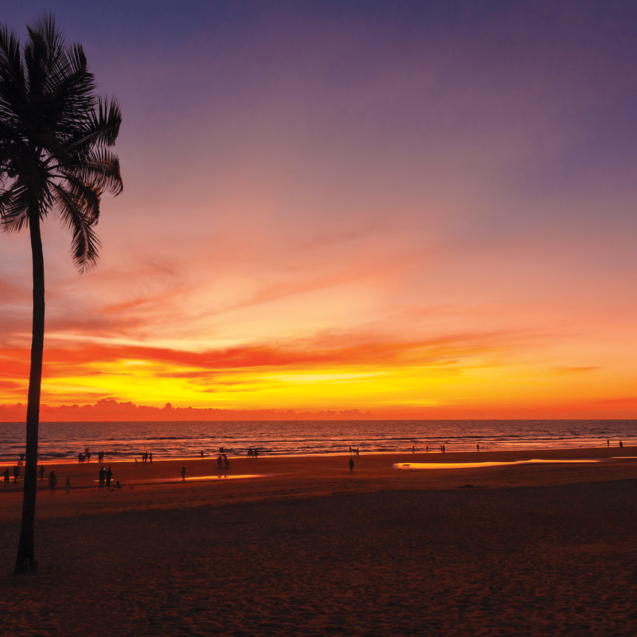 different hues in the sky after a sunset with a coconut tree in view - Caravela Beach Resort Goa