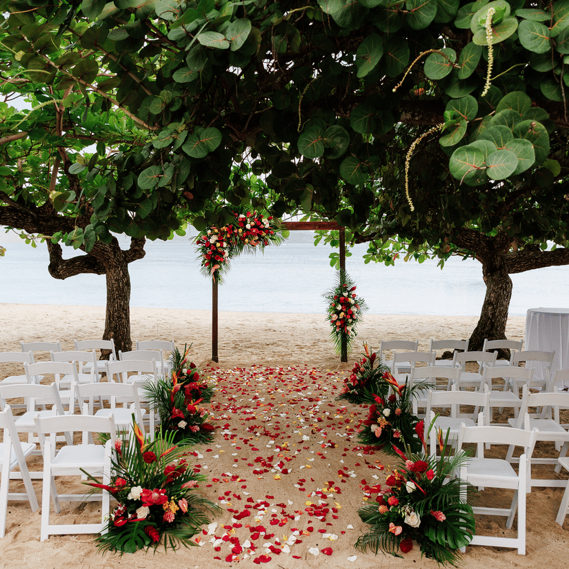 Beach wedding ceremony setup with white chairs arranged along a sandy aisle decorated with flower petals leading to a floral arch under lush green trees by the sea.
