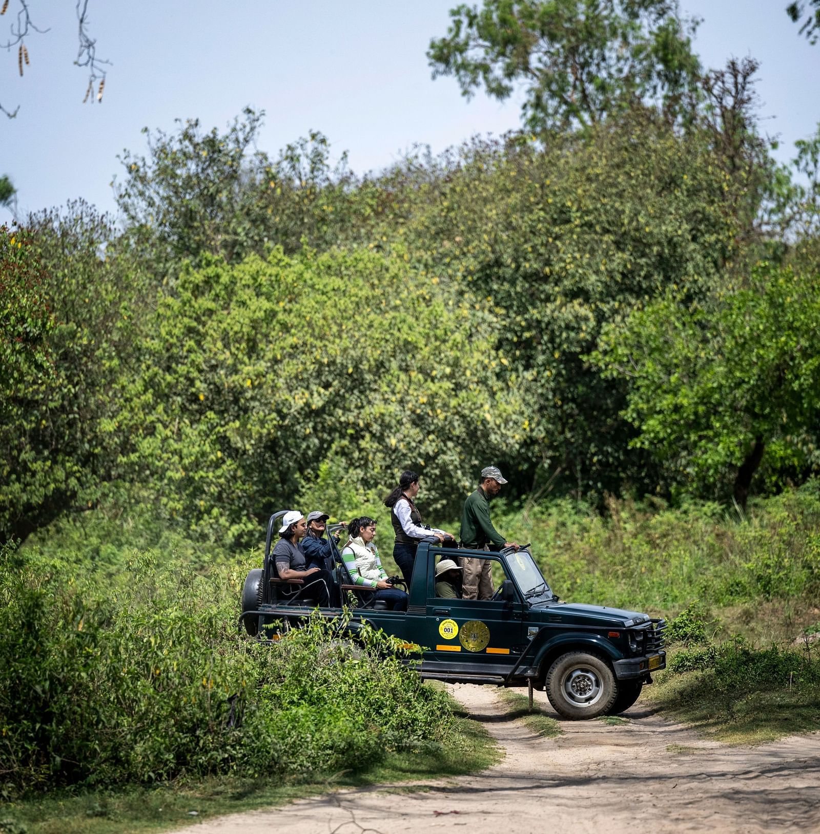 A car driving through lush greenery during a safari near Haridwar - Aalia Jungle Resort & Spa