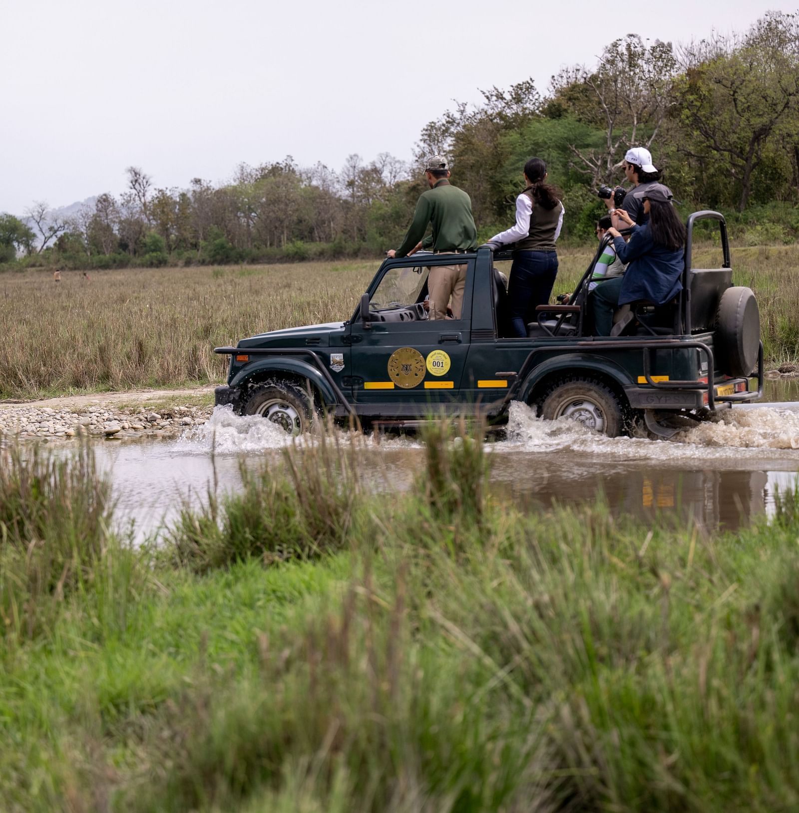 Guest enjoying a drive through dry grass lands during a safari at Rajaji National Park - Aalia Jungle Resort & Spa