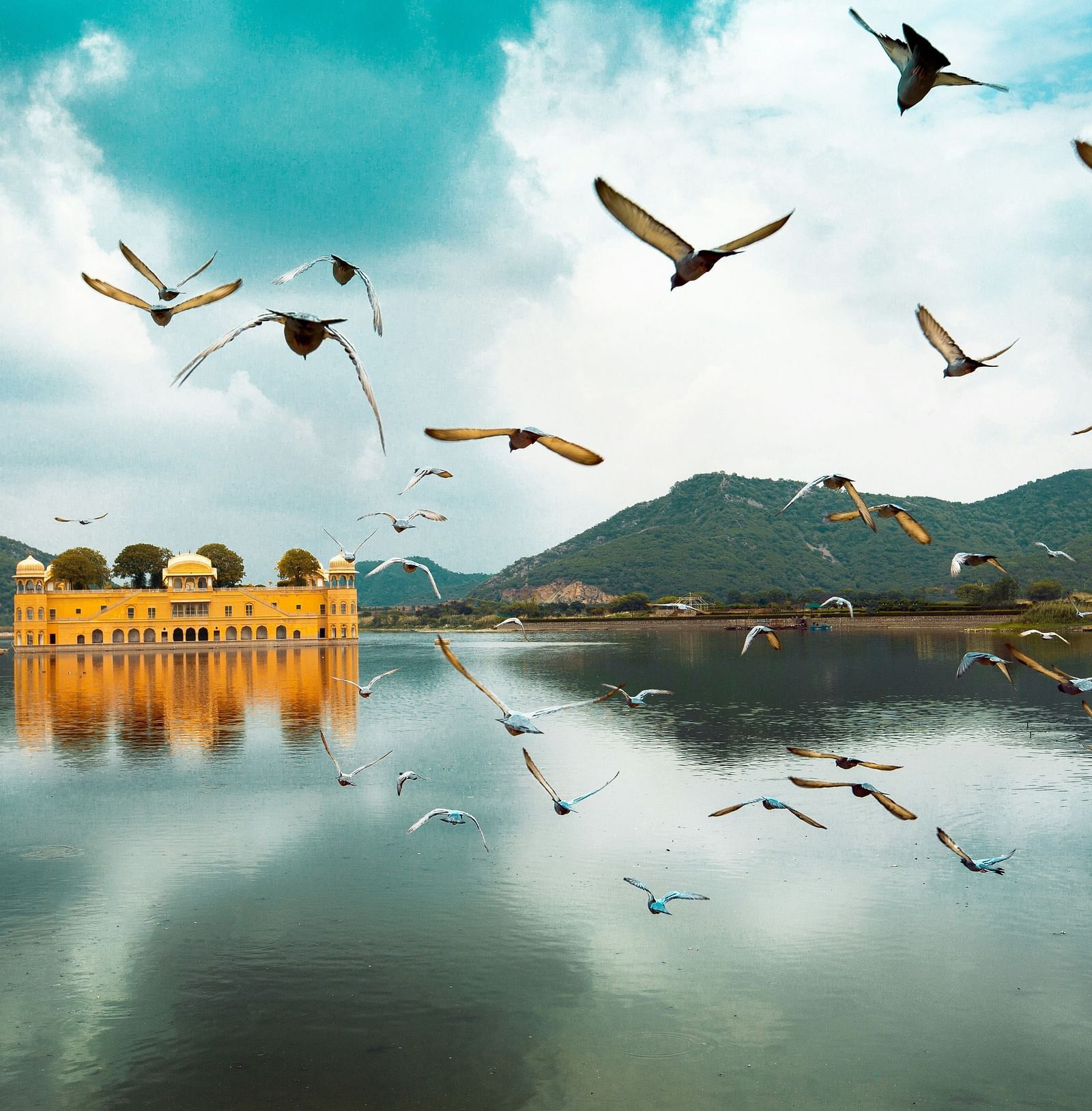 a beautiful image of the jal mahal at jaipur