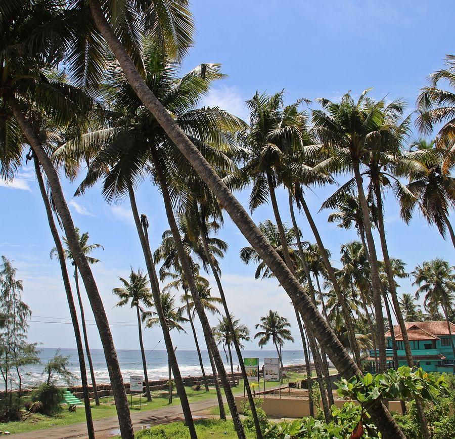 alt-text Hotels In Cherai, Sapphire Club Cherai Beach Villa,Cherai Hotel 71