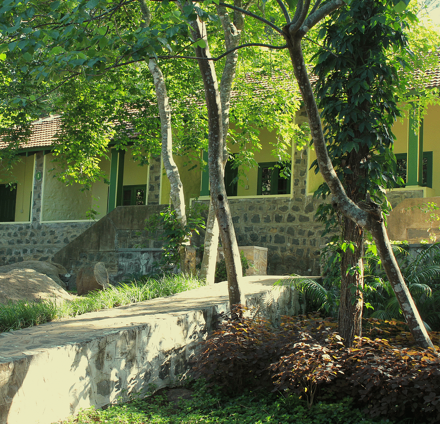 Outside Green2