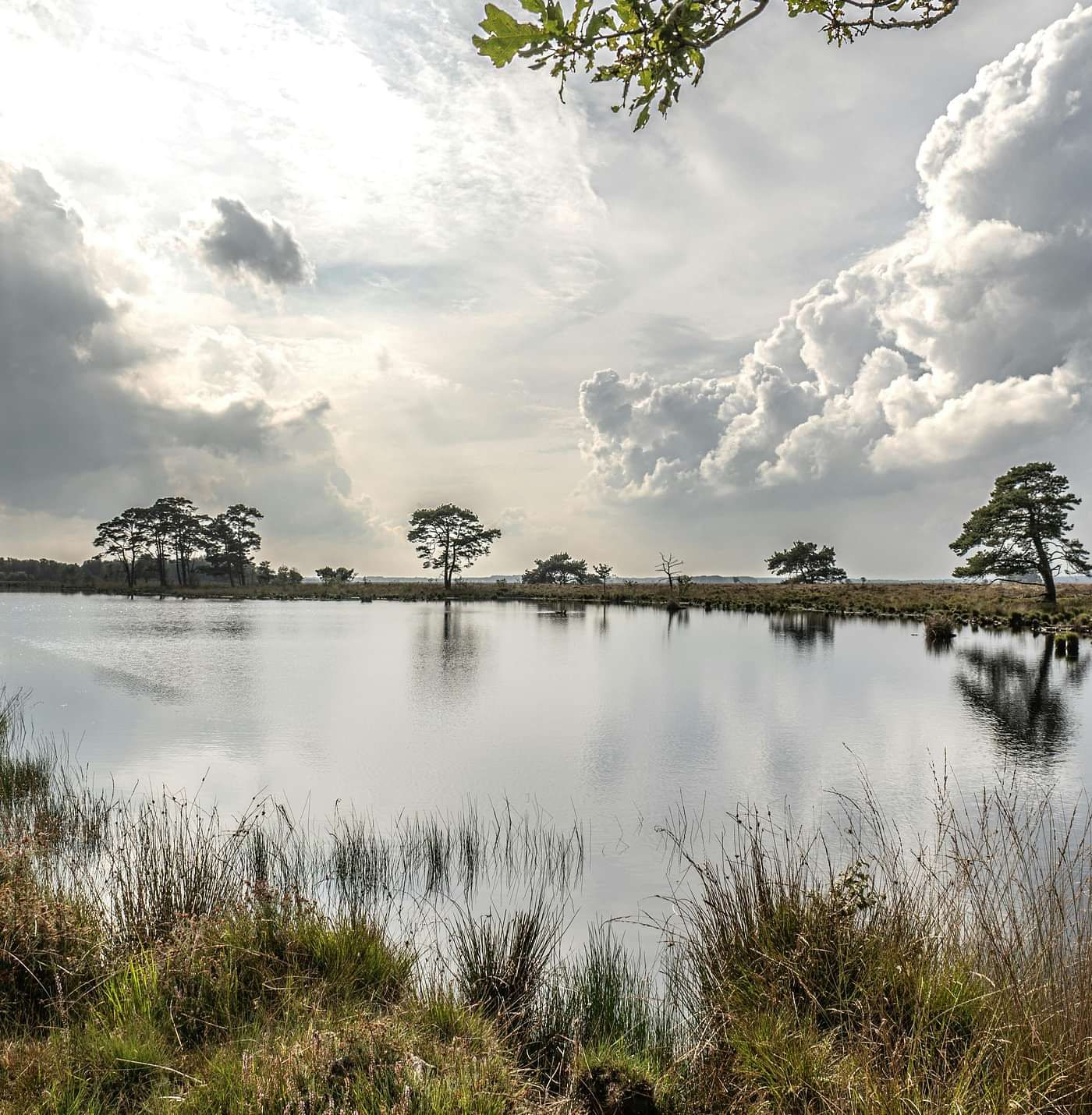 wards lake in shillong