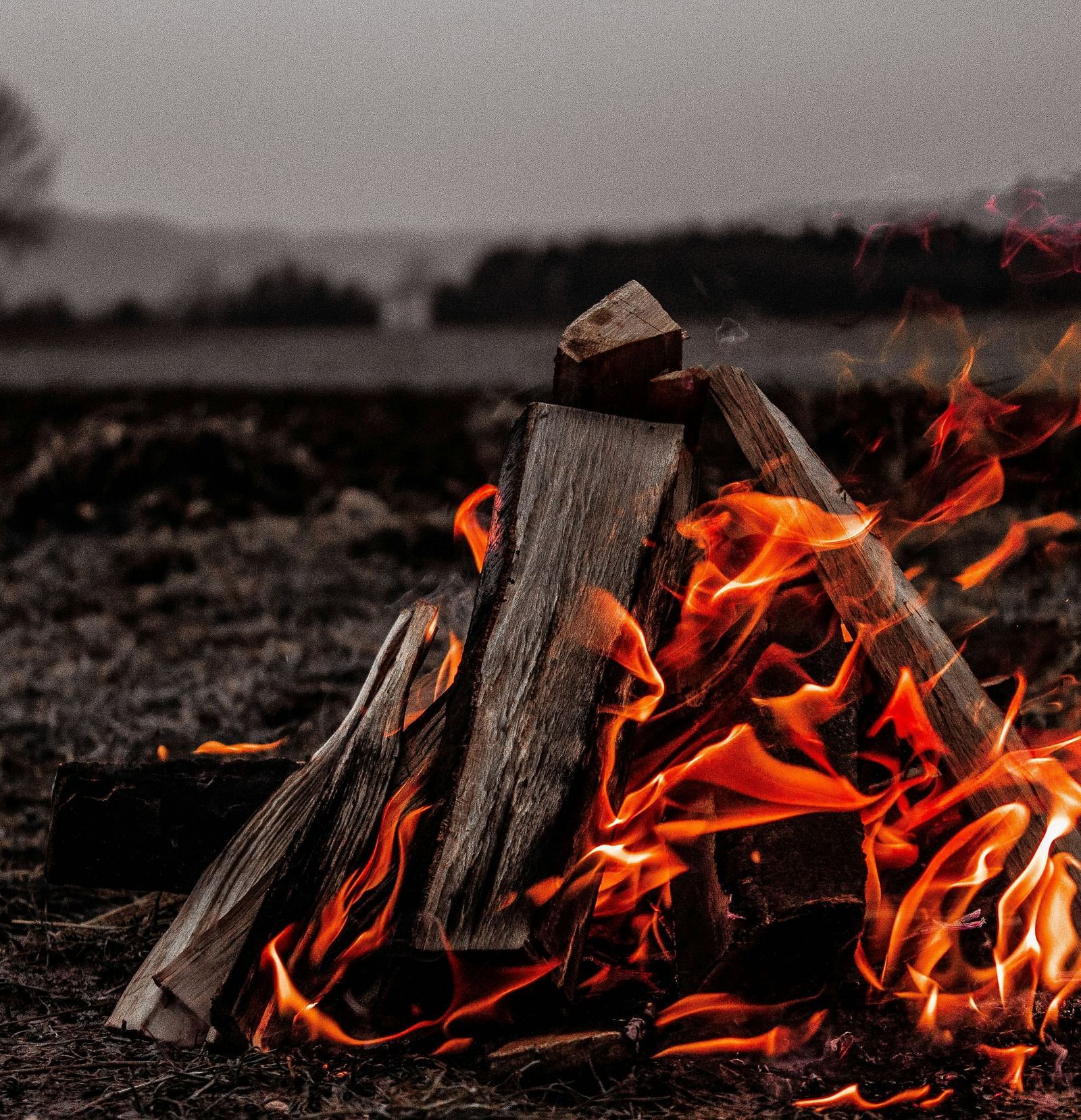 A close up view of logs being burned during campfire
