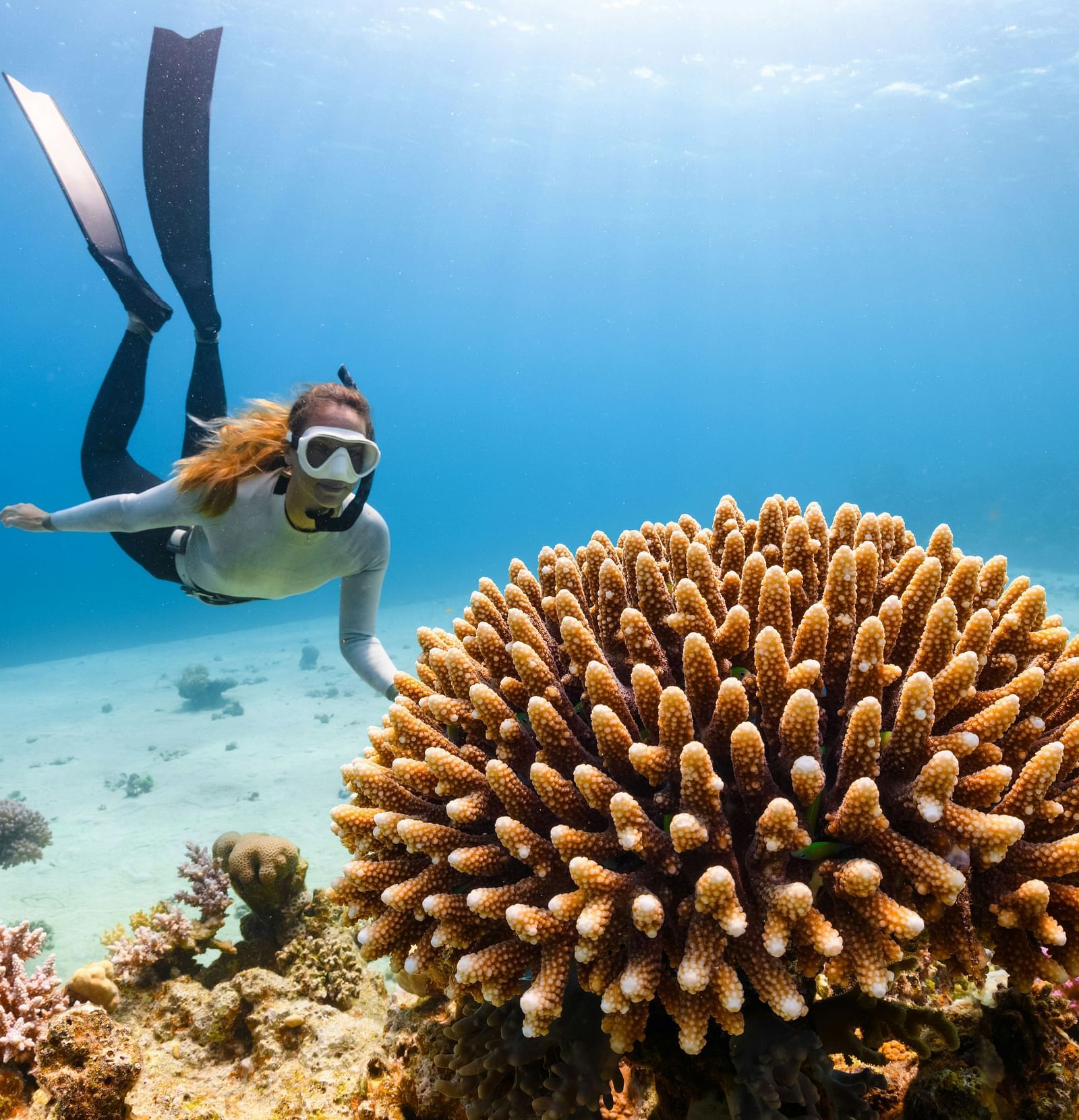 Alibu Resort Nha Trang, diving, snorkeling, scuba diving