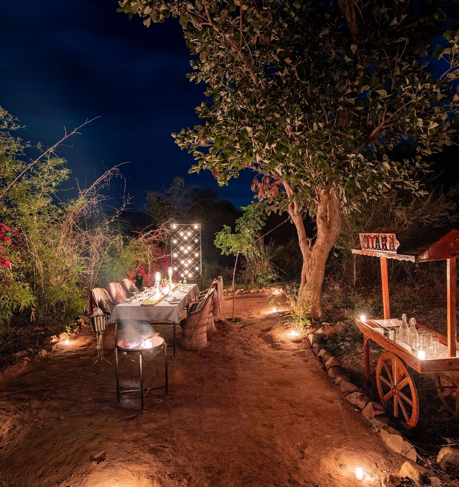 An image of an outdoor dining arrangement with bright lighting and greenery around - Utsav Camp Sariska