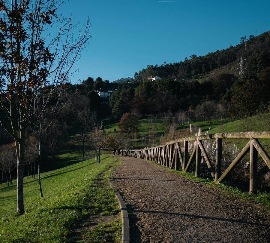 A gravel path with a wooden fence leading through a peaceful park, surrounded by green grass and scattered trees under a clear sky.