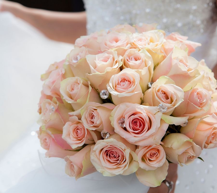 Canva - Close-up of Pink Rose Bouquet