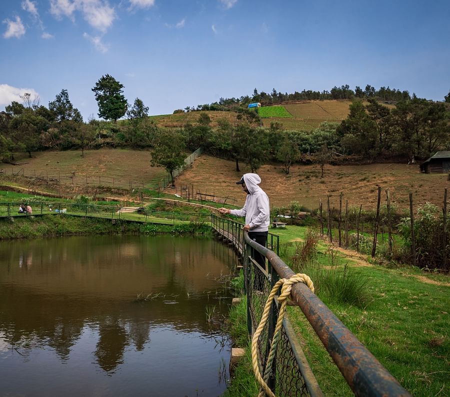 a man fishing at destiny