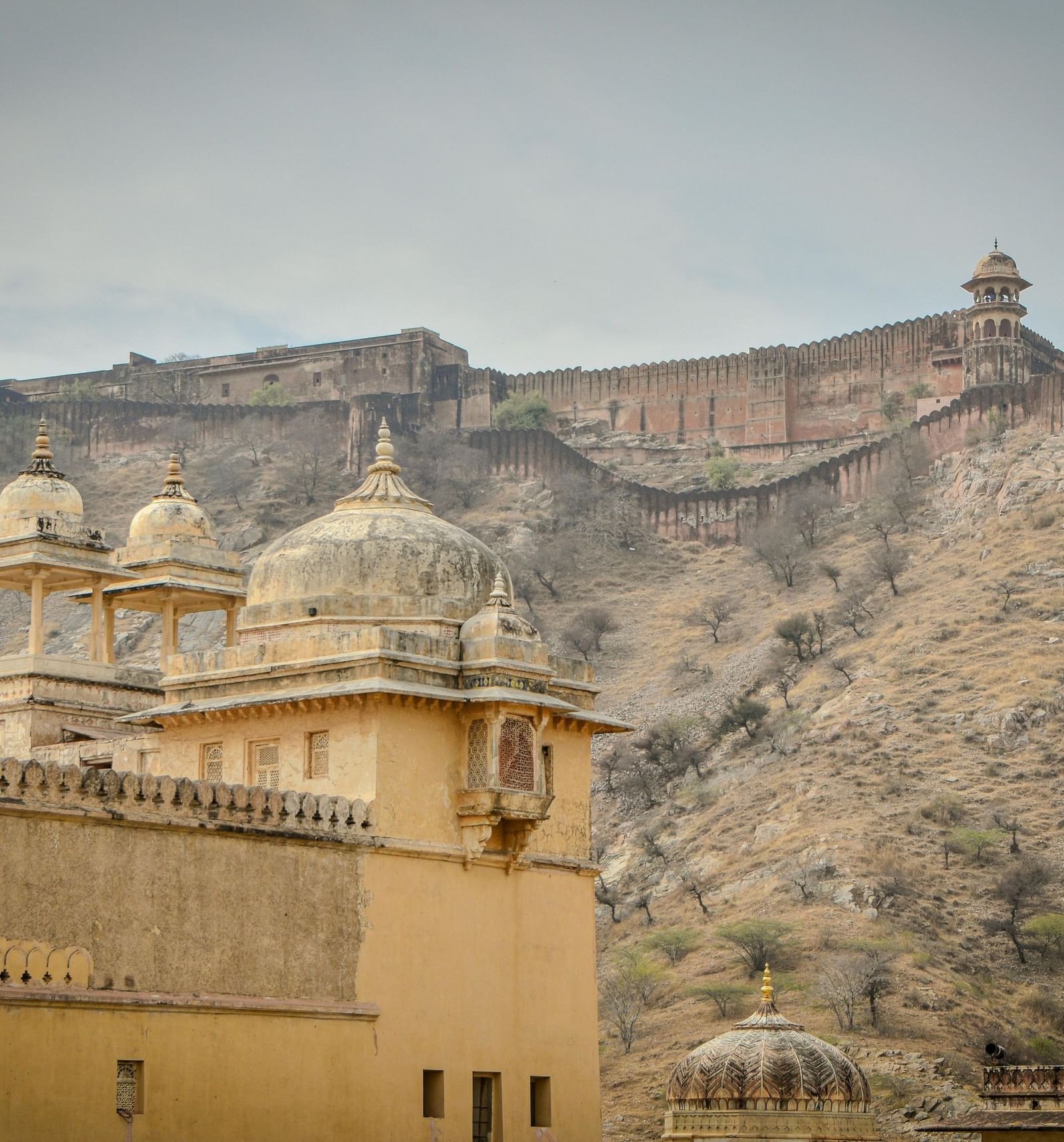 pexels-sid-dalal-287424521-18881274