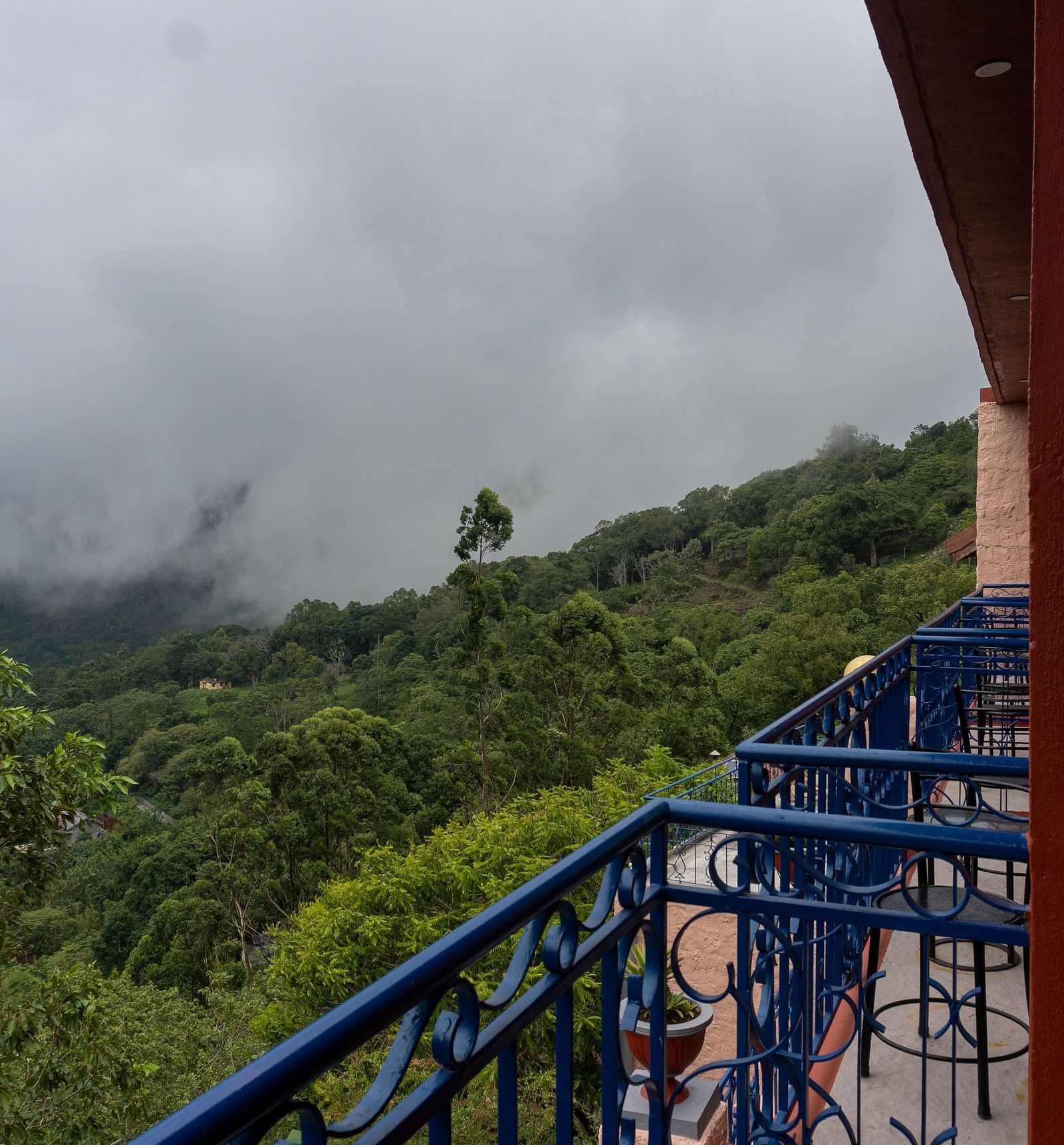 Valley view from the balcony  | Mango Hill, Yercaud