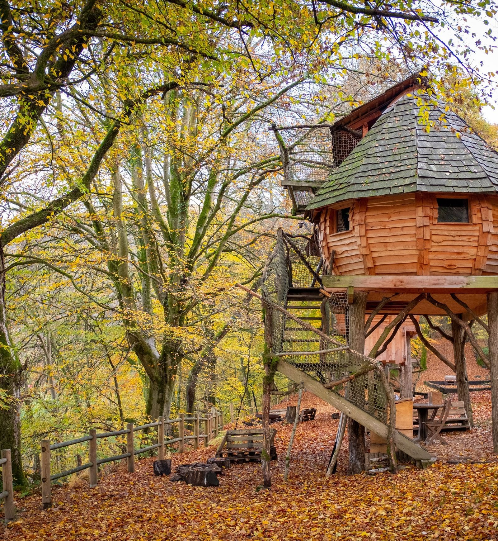 An overview of a treehouse surrounded by trees and dried flowers on the ground | Mango Hill, Pondicherry