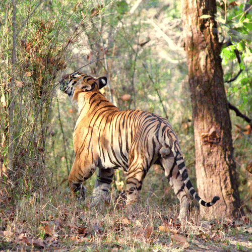 20160403 051011170 iOS