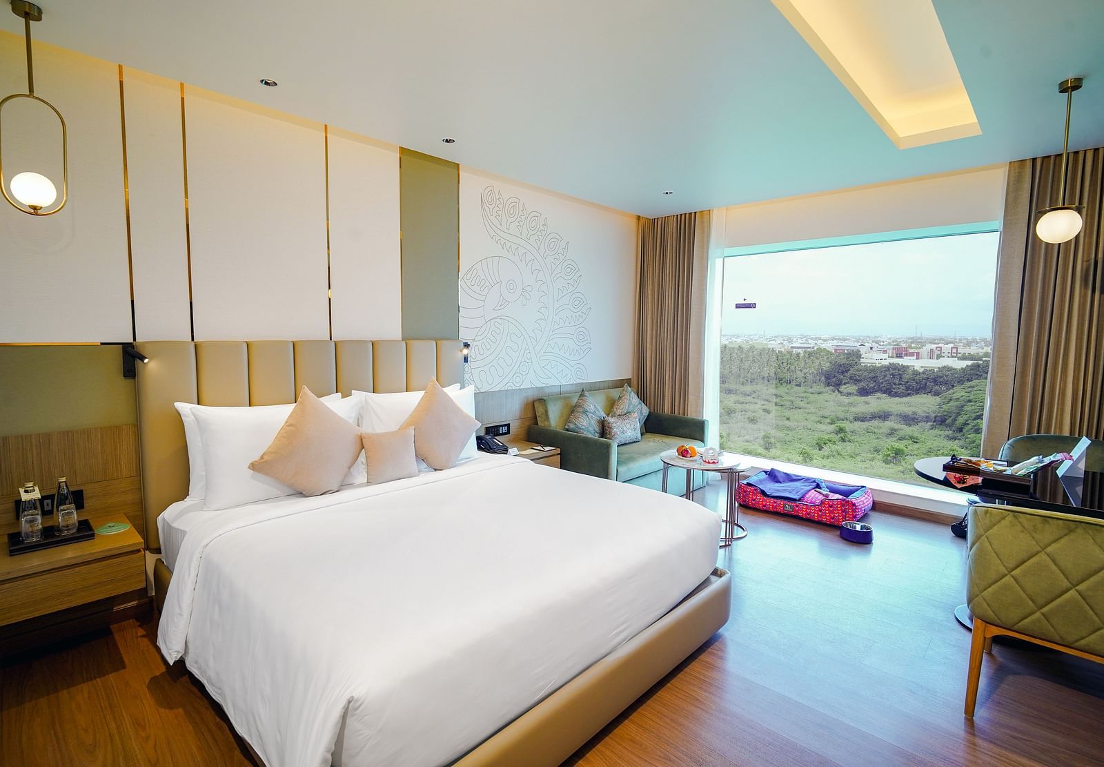Pet Friendly room (2)