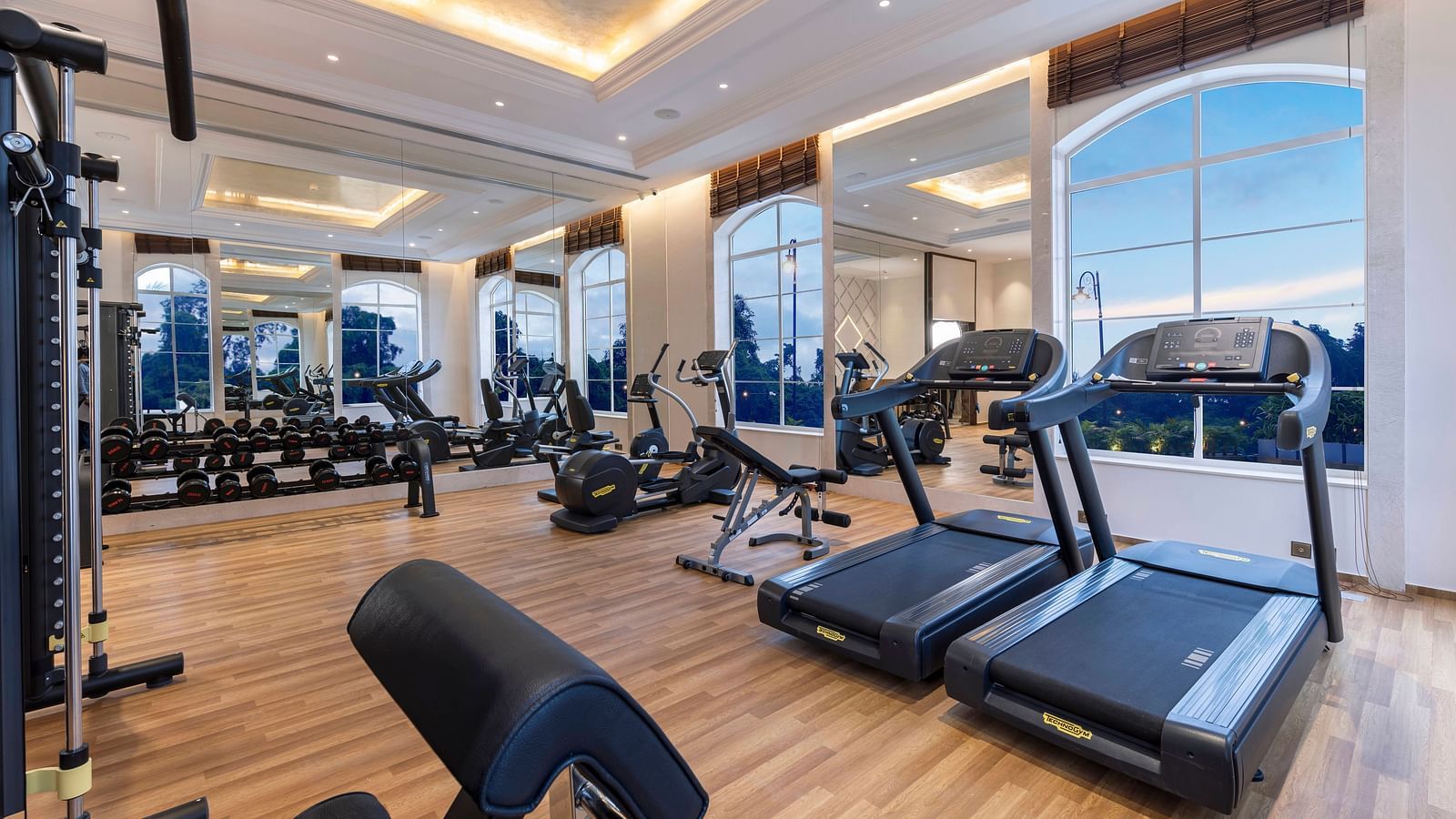 A fitness centre at Imperial Goa with various gym equipment in place.