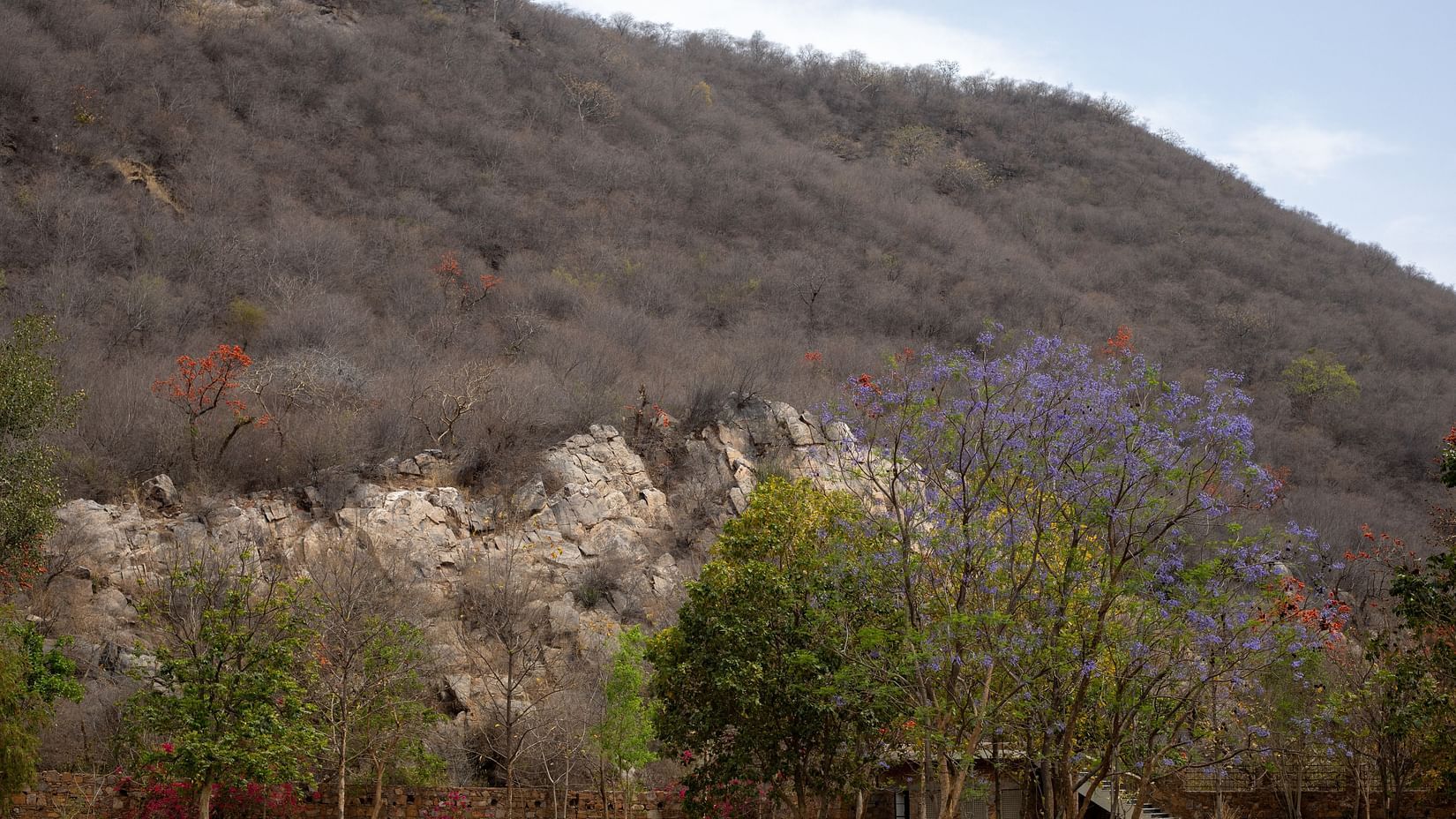 4 - Landscape 3- Surya Bagh Ajabgarh