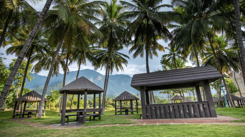 Outdoor seating area with multiple wooden gazebos set on a grassy lawn, surrounded by coconut trees in a tropical garden - Black Thunder, Coimbatore