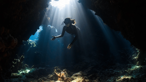 A person scuba diving and looking at the ground with the sun shining from up above