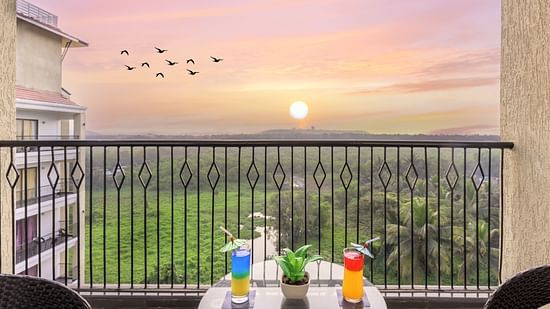 The view from Balcony of our hotel room at Golden Tulip, Candolim, Goa, offering a scenic sunset view over palm trees and birds flying on the top
