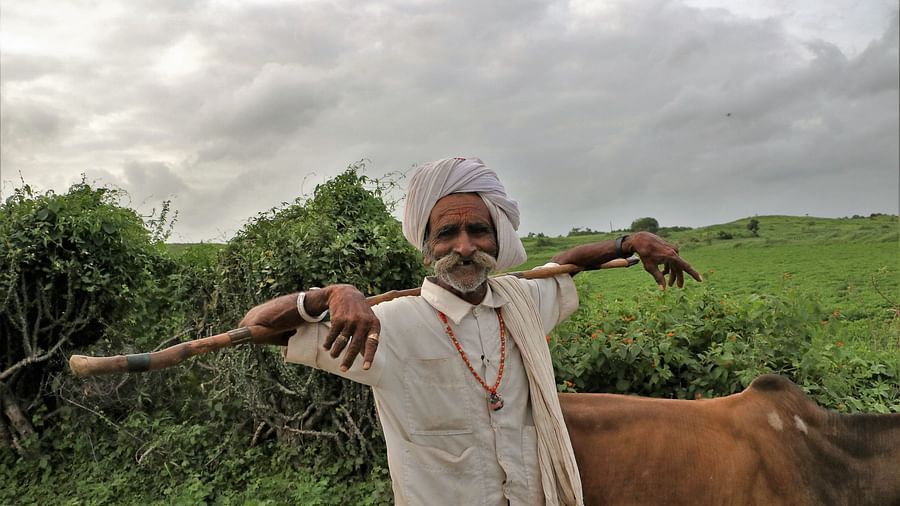 maldhari tribe in gir 