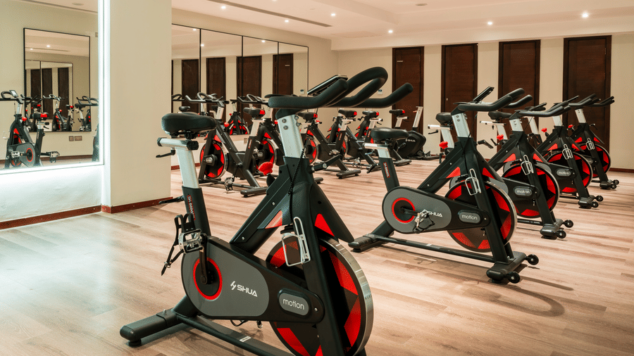 Spin Studio