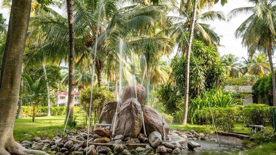 Lush garden area with tall coconut trees and a decorative stone fountain in the centre, surrounded by greenery - Black Thunder, Coimbatore