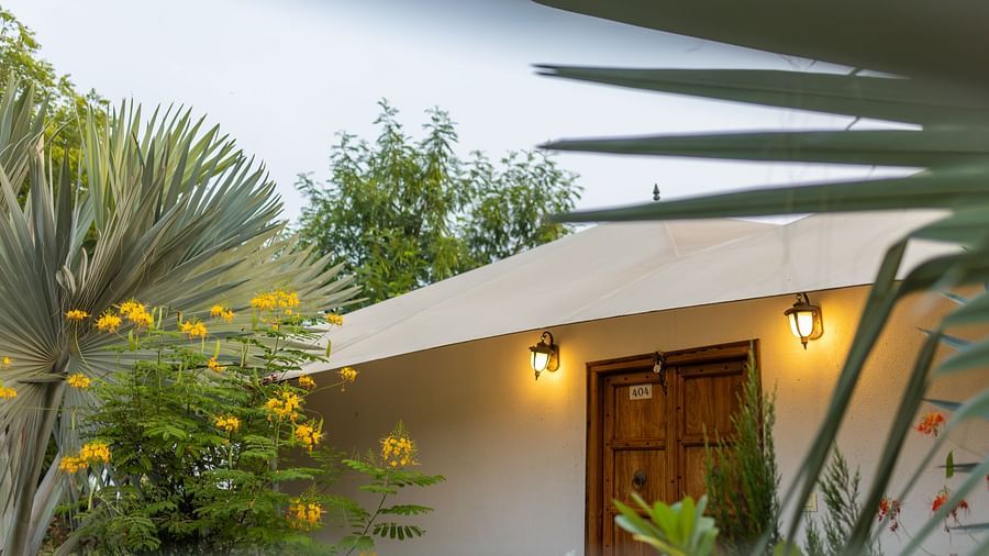 A view of a private entrance to a tent at Clarks Safari, Ranthambore, framed by plants and trees.