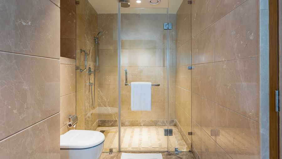 view of the water closet and shower area in the restroom of one of the rooms at Park Plaza, Jalandhar