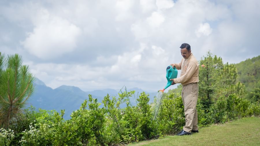 Man watering the plants in a lush garden area, with scenic mountain views in the background.