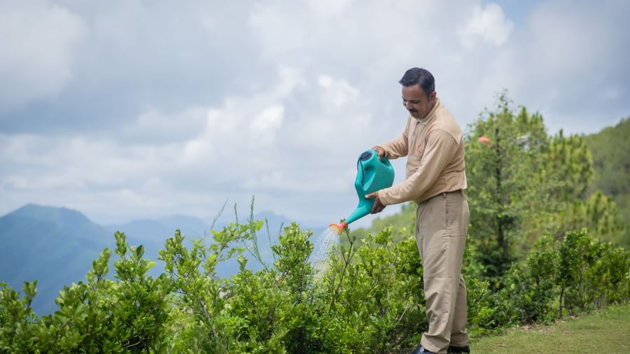 Man watering vibrant green plants on a hillside with dramatic misty mountains in the background, illustrating sustainable landscaping practices and scenic views at The Manor Sports & Wellness Hotel in Shimla.